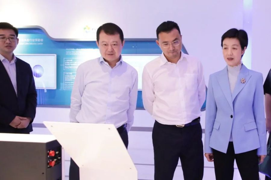 扬中市委副书记蔡萍率队来访博天堂918